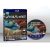 BBC自然世界系列 The BBC Natural World Collection（雙碟版） 藍光25G