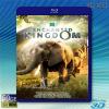 (優惠50G-3D+2D影片) 魔法王國 Enchanted Kingdom (2014) 藍光50G