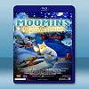 嚕嚕米冬日樂園 Moomins And The Winter...