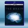  深入大腦 The Brain with David Eagleman (2碟) (2015) 藍光25G