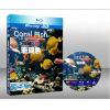 珊瑚魚 Coral Fish (快門分時3D) 藍光25G