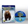 熊 IMAX - Bears 藍光25G