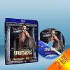 斯巴達克斯：復仇 Spartacus: Vengeance  (2碟) 藍光25G