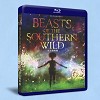 南方野獸樂園 Beasts of the Southern Wild (2012) 藍光25G