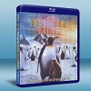 快門3D+2D 企鵝王The Penguin King 藍光25G