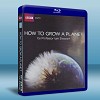 BBC 地球的成長 第1季 How To Grow A Planet 25G藍光