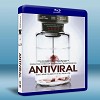 抗體  Antiviral  (2012) 25G藍光
