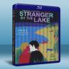 湖畔春光 Stranger by the Lake (201...