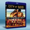 無法無天 <巴西> City of God (2002) 藍光25G