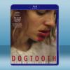 非普通教慾 Canine/Dogtooth (2009) 藍...