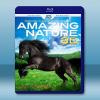 Amzaing Nature 3D 奇妙大自然  藍光25G