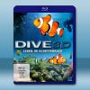 潛水3D:紅海 Dive Leben im Schiffswrack 藍光25G
