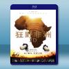 狂野非洲 African Safari (2013) 藍光影...