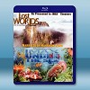 IMAX 失落的世界Lost Worlds +海底世界Und...