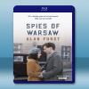 華沙間諜Spies of Warsaw [1碟] (2013...