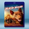  紅犬背包客 Red Dog 【2011】 藍光25G