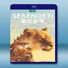 塞倫蓋蒂 Serengeti (2碟) 【2019】 藍光2...