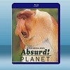 怪誕星球 Absurd! Planet (2020) 【2碟...