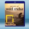  國家地理：狂野印度 Secrets of Wild India (2012) 藍光25G
