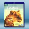 塞倫蓋蒂 第一季 Serengeti Season 1 (2...