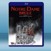 燃燒的巴黎聖母院 Notre-Dame On Fire(20...