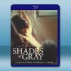 戰栗迷情 Shades of Gray (1997) 藍光2...