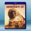  塞倫蓋蒂 第三季 Serengeti Season 3(2022)藍光25G 2碟