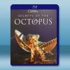 章魚的秘密 Secrets of the Octopus(2...