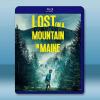 征服山的少年/迷路 Lost on A Mountain i...