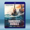 鯊人魔/危險動物 Dangerous Animals(2025)藍光25G