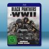 黑豹特攻隊/二戰黑豹 Black Panthers of WWII(2025)藍光25G